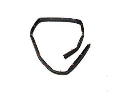 Ford FT4Z-5820759-B WEATHERSTRIP - DOOR - LOWER