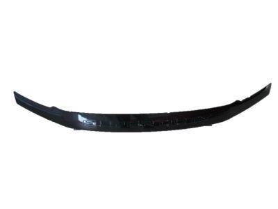 2019 Ford F-550 Super Duty Air Deflector - HC3Z-16C900-C