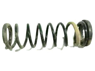 Ford 8E5Z-5560-G Spring - Rear