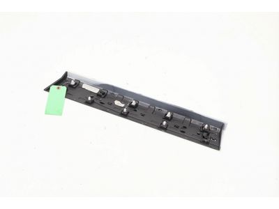 Lincoln Corsair Door Moldings - LJ7Z-7825556-BAPTM