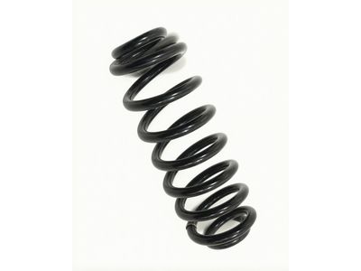 2024 Ford Maverick Coil Springs - NZ6Z-5560-L