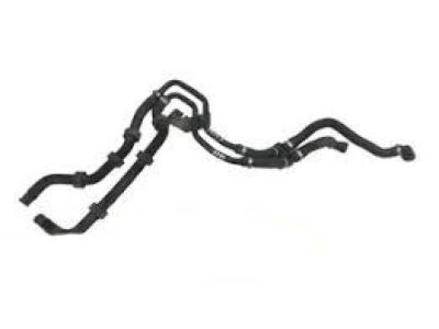 Ford 1F1Z-18C553-BA Hose Assembly