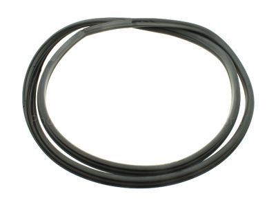 2005 Ford Expedition Weather Strip - 6L1Z-78253A10-A