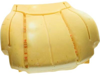 2015 Ford F-450 Super Duty Seat Cushion - BC3Z-2564811-E