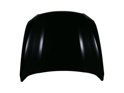 Ford Hood - DG1Z-16612-A