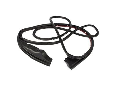 Ford FL3Z-1520530-A Weatherstrip