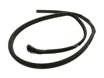 Ford YW1Z-5451822-AB Weatherstrip