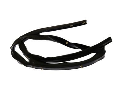 2010 Ford Explorer Weather Strip - 8L2Z-78253A45-A