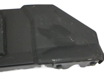 Ford GL3Z-16451-AD Step Assembly