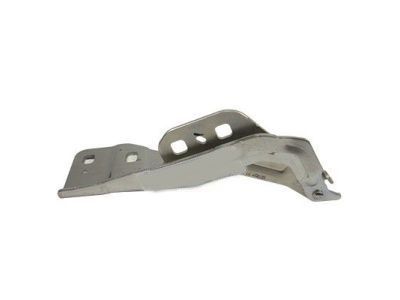 Ford DP5Z-16797-A Hinge Assembly - Hood