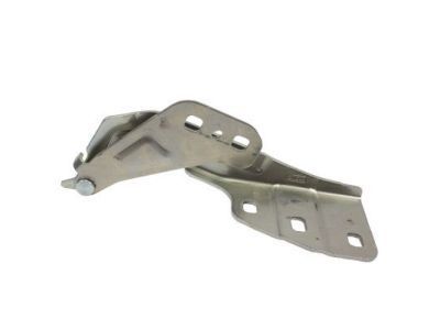 Lincoln Hood Hinge - DP5Z-16797-A