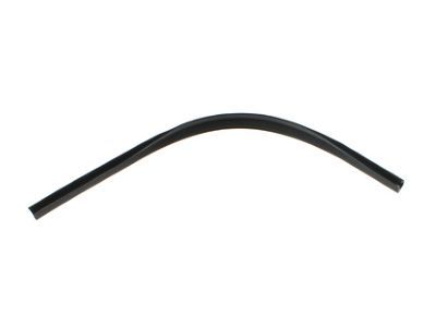 Ford 6L3Z-1542052-A Weatherstrip - Back Window