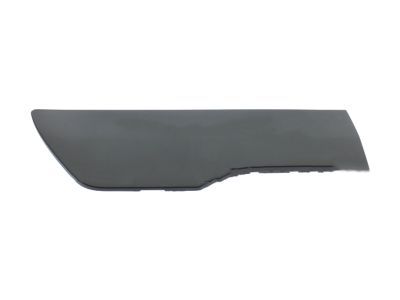 Ford DT1Z-6129076-CB Moulding - Front Body Panel