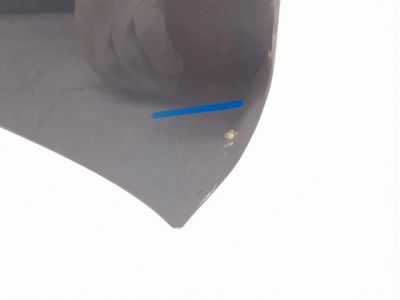 Ford Mustang Mach-E Hood - LJ8Z-16612-A