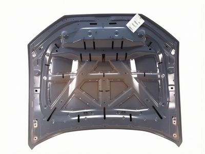 Ford Mustang Mach-E Hood - LJ8Z-16612-A