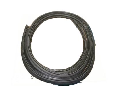 Ford 3L2Z-78404A06-AA Weatherstrip