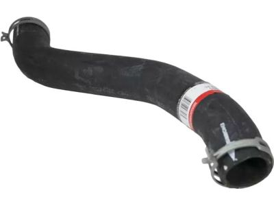 2005 Ford F-550 Super Duty Cooling Hose - 5C3Z-8260-AC