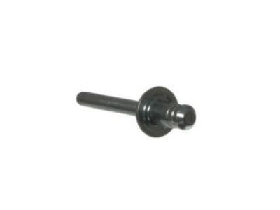 Ford -W707638-S900C Rivet - Blind