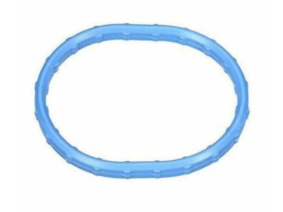 Ford 1L2Z-9461-CA Gasket