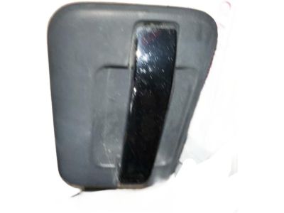 2013 Ford F-150 Door Handle - CL3Z-1626605-AB