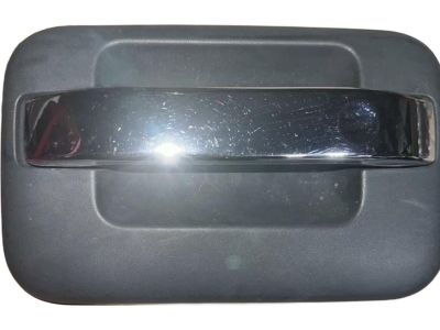 2013 Ford F-150 Door Handle - CL3Z-1626605-AB