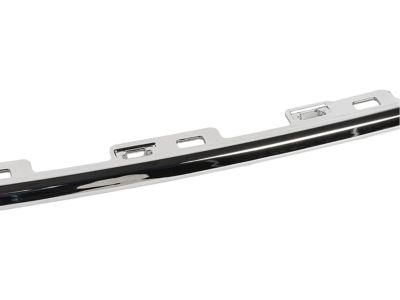 Ford JB5Z-17C830-AA MOULDING - BUMPER BAR