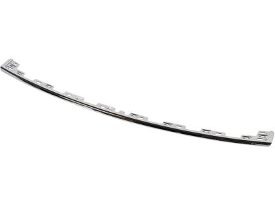 Ford JB5Z-17C830-AA MOULDING - BUMPER BAR