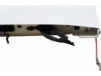 N1WZ-2640110-D Ford Tailgate Assembly Less Hinges   Product Photo 4 of 4