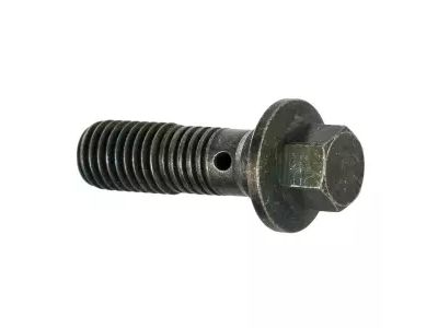 -W709298-S901 Ford Bolt - Banjo Product Photo 1 of 2