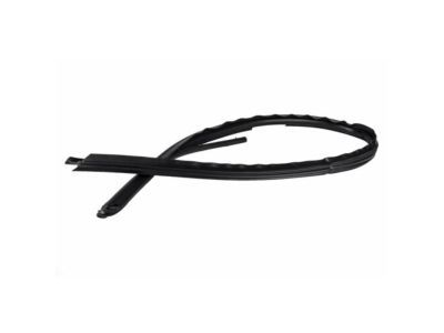 2004 Ford F-250 Super Duty Door Seal - 4C3Z-2651222-AA