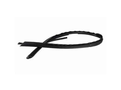 Ford 4C3Z-2651222-AA Weatherstrip