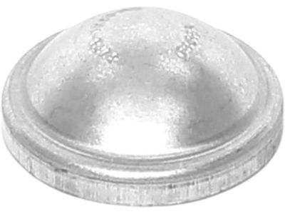 2004 Ford Focus Wheel Bearing Dust Cap - YS4Z-1248-AA