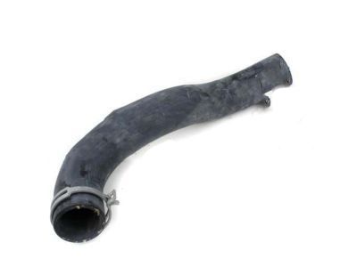 2004 Ford Excursion Radiator Hose - 3C3Z-8260-AC