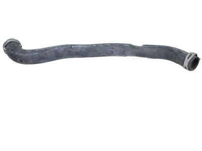 2004 Ford F-150 Cooling Hose - 4L3Z-8260-DA