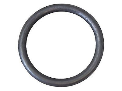 Ford 1F1Z-9J469-AA Gasket