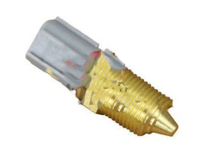 Ford 2M5Z-12A648-AA Plug - Blanking