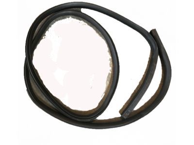 Lincoln Mark LT Weather Strip - BL3Z-16253A11-A