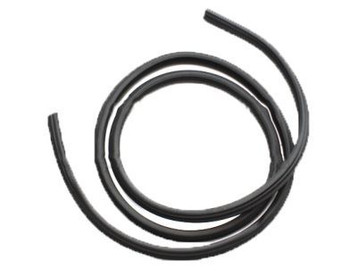 Ford BL3Z-16253A11-A Weatherstrip Assembly - Door Opening