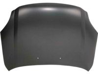 Ford 6E5Z-16612-AA Hood Assembly