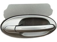 Ford 4F2Z-1726605-BAF Door Handle Assembly Outer