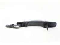 Ford FA1Z-5422404-AAPTM Door Handle Assembly Outer Ford FA1Z-5422404-AAPTM Door Handle Assembly Outer