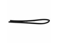 Ford DG1Z-16B990-A Weatherstrip