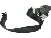 Ford FT4Z-58611B68-GC Seat Belt Assembly