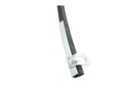 Ford 4L1Z-7821546-AA Door Glass Run