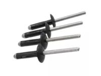Ford -W705297-S417 Rivet