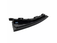 Ford FT4Z-58255A34-F Moulding - Door Window Frame