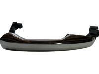Ford BA1Z-7822404-A Door Handle Assembly Outer