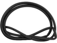 Ford FT4Z-5825325-B Weatherstrip