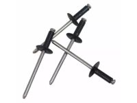 Ford -W708993-S417 Rivet