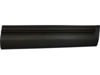 Ford HB5Z-7820878-AA Door Outside Moulding